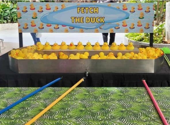 Fetch the Ducks Deluxe catalogue variant